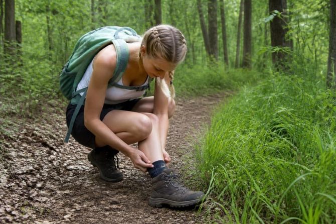Tick Bites & Lyme Disease in Virginia: What to Do